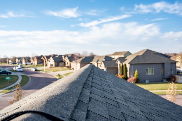 Professional Shingle Roof Construction